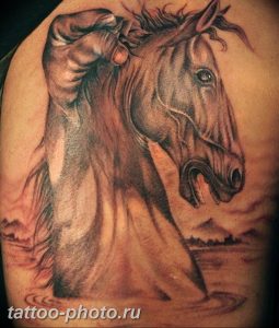 фото тату лошадь 24.12.2018 №475 - photo horse tattoo - tattoo-photo.ru