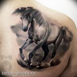 фото тату лошадь 24.12.2018 №477 - photo horse tattoo - tattoo-photo.ru