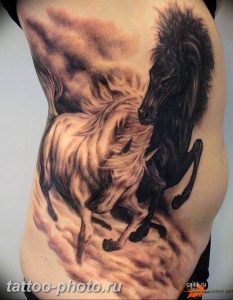 фото тату лошадь 24.12.2018 №487 - photo horse tattoo - tattoo-photo.ru