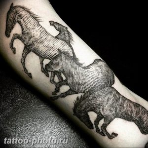 фото тату лошадь 24.12.2018 №491 - photo horse tattoo - tattoo-photo.ru