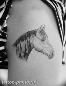 фото тату лошадь 24.12.2018 №494 - photo horse tattoo - tattoo-photo.ru