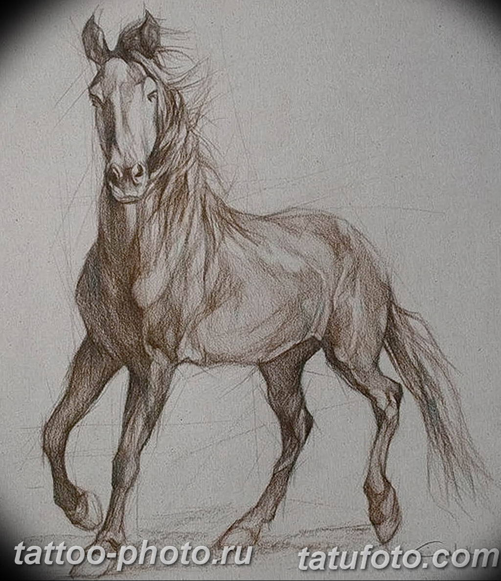 Академический рисунок лошади