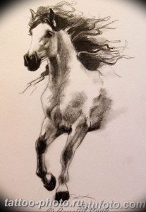 фото тату лошадь 24.12.2018 №496 - photo horse tattoo - tattoo-photo.ru