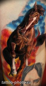 фото тату лошадь 24.12.2018 №506 - photo horse tattoo - tattoo-photo.ru