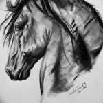 фото тату лошадь 24.12.2018 №510 - photo horse tattoo - tattoo-photo.ru