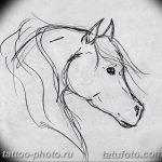 фото тату лошадь 24.12.2018 №511 - photo horse tattoo - tattoo-photo.ru