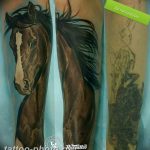 фото тату лошадь 24.12.2018 №516 - photo horse tattoo - tattoo-photo.ru