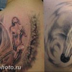 фото тату лошадь 24.12.2018 №517 - photo horse tattoo - tattoo-photo.ru