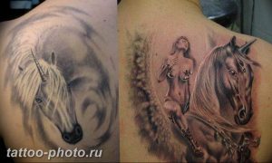 фото тату лошадь 24.12.2018 №518 - photo horse tattoo - tattoo-photo.ru