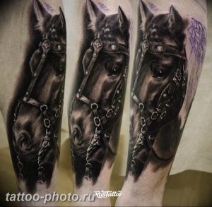 фото тату лошадь 24.12.2018 №520 - photo horse tattoo - tattoo-photo.ru