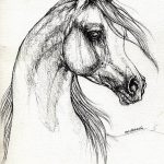 фото тату лошадь 24.12.2018 №525 - photo horse tattoo - tattoo-photo.ru