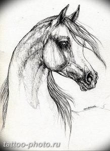 фото тату лошадь 24.12.2018 №525 - photo horse tattoo - tattoo-photo.ru