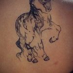 фото тату лошадь 24.12.2018 №536 - photo horse tattoo - tattoo-photo.ru