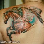 фото тату лошадь 24.12.2018 №541 - photo horse tattoo - tattoo-photo.ru