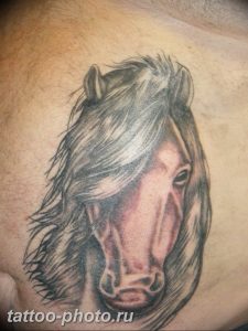 фото тату лошадь 24.12.2018 №543 - photo horse tattoo - tattoo-photo.ru