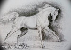 фото тату лошадь 24.12.2018 №555 - photo horse tattoo - tattoo-photo.ru
