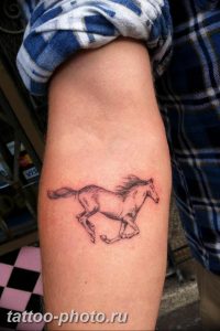 фото тату лошадь 24.12.2018 №558 - photo horse tattoo - tattoo-photo.ru