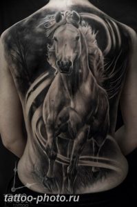 фото тату лошадь 24.12.2018 №561 - photo horse tattoo - tattoo-photo.ru