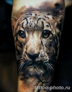 Фото рисунка Тату снежный барс 20.11.2018 №001 - Tattoo snow leopard - tattoo-photo.ru