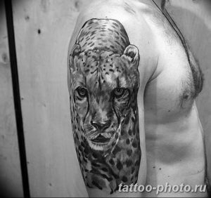 Фото рисунка Тату снежный барс 20.11.2018 №004 - Tattoo snow leopard - tattoo-photo.ru