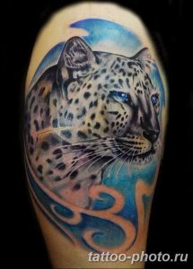 Фото рисунка Тату снежный барс 20.11.2018 №014 - Tattoo snow leopard - tattoo-photo.ru