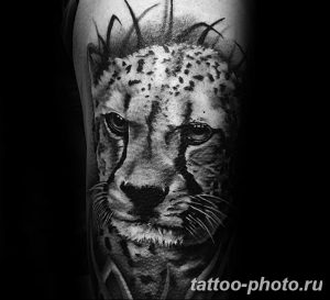 Фото рисунка Тату снежный барс 20.11.2018 №015 - Tattoo snow leopard - tattoo-photo.ru