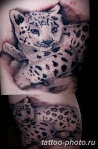 Фото рисунка Тату снежный барс 20.11.2018 №024 - Tattoo snow leopard - tattoo-photo.ru