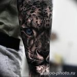 Фото рисунка Тату снежный барс 20.11.2018 №028 - Tattoo snow leopard - tattoo-photo.ru