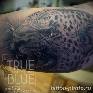 Фото рисунка Тату снежный барс 20.11.2018 №041 - Tattoo snow leopard - tattoo-photo.ru