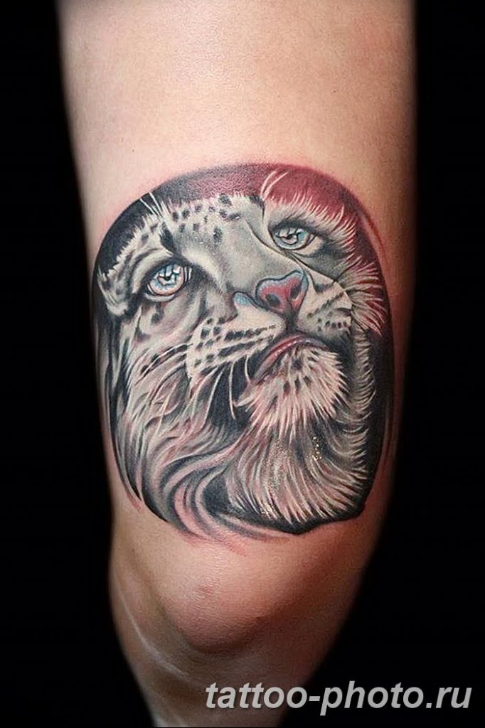 Фото рисунка Тату снежный барс 20.11.2018 №055 - Tattoo snow leopard - tattoo-photo.ru