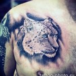 Фото рисунка Тату снежный барс 20.11.2018 №069 - Tattoo snow leopard - tattoo-photo.ru