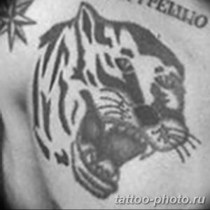 Фото рисунка Тату снежный барс 20.11.2018 №075 - Tattoo snow leopard - tattoo-photo.ru