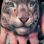 Фото рисунка Тату снежный барс 20.11.2018 №084 - Tattoo snow leopard - tattoo-photo.ru