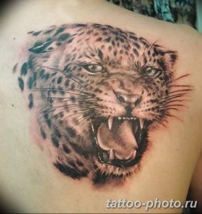 Фото рисунка Тату снежный барс 20.11.2018 №089 - Tattoo snow leopard - tattoo-photo.ru