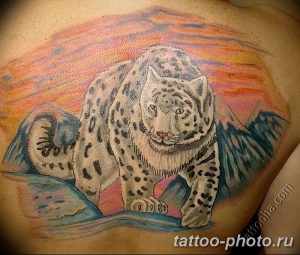Фото рисунка Тату снежный барс 20.11.2018 №092 - Tattoo snow leopard - tattoo-photo.ru