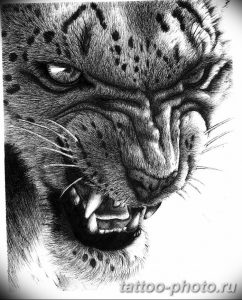 Фото рисунка Тату снежный барс 20.11.2018 №100 - Tattoo snow leopard - tattoo-photo.ru