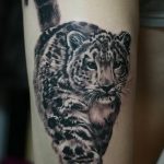Фото рисунка Тату снежный барс 20.11.2018 №104 - Tattoo snow leopard - tattoo-photo.ru