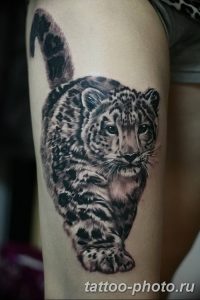 Фото рисунка Тату снежный барс 20.11.2018 №104 - Tattoo snow leopard - tattoo-photo.ru