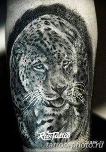 Фото рисунка Тату снежный барс 20.11.2018 №105 - Tattoo snow leopard - tattoo-photo.ru