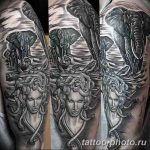 Фото рисунка тату Медуза Горгона 23.11.2018 №006 - tattoo Medusa Gorgo - tattoo-photo.ru