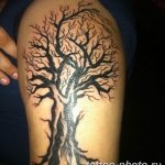 Фото рисунка тату дерево 07.11.2018 №002 - photo tattoo tree - tattoo-photo.ru
