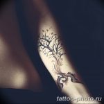 Фото рисунка тату дерево 07.11.2018 №060 - photo tattoo tree - tattoo-photo.ru