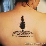 Фото рисунка тату дерево 07.11.2018 №097 - photo tattoo tree - tattoo-photo.ru