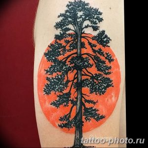 Фото рисунка тату дерево 07.11.2018 №102 - photo tattoo tree - tattoo-photo.ru