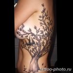 Фото рисунка тату дерево 07.11.2018 №105 - photo tattoo tree - tattoo-photo.ru