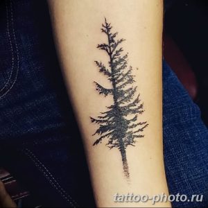 Фото рисунка тату дерево 07.11.2018 №120 - photo tattoo tree - tattoo-photo.ru