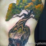 Фото рисунка тату дерево 07.11.2018 №208 - photo tattoo tree - tattoo-photo.ru