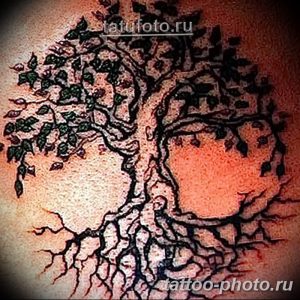 Фото рисунка тату дерево 07.11.2018 №330 - photo tattoo tree - tattoo-photo.ru