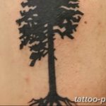 Фото рисунка тату дерево 07.11.2018 №346 - photo tattoo tree - tattoo-photo.ru