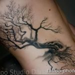 Фото рисунка тату дерево 07.11.2018 №359 - photo tattoo tree - tattoo-photo.ru